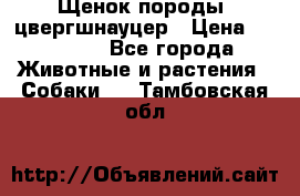 Щенок породы  цвергшнауцер › Цена ­ 30 000 - Все города Животные и растения » Собаки   . Тамбовская обл.